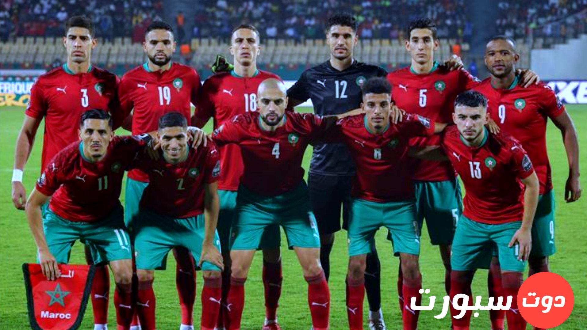 مدرب منتخب بلجيكا
